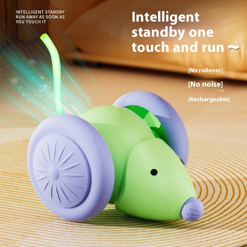 Electric Cat Mouse