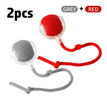 Set Of Interactive Toy Balls