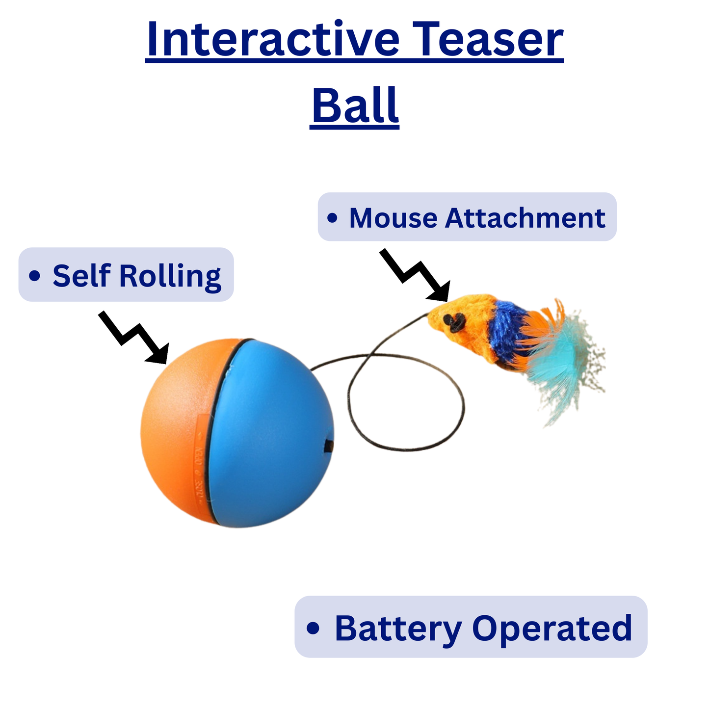 Interactive Cat Play Bundle – 4 Toy Set for Chasing, Hunting & Enrichment