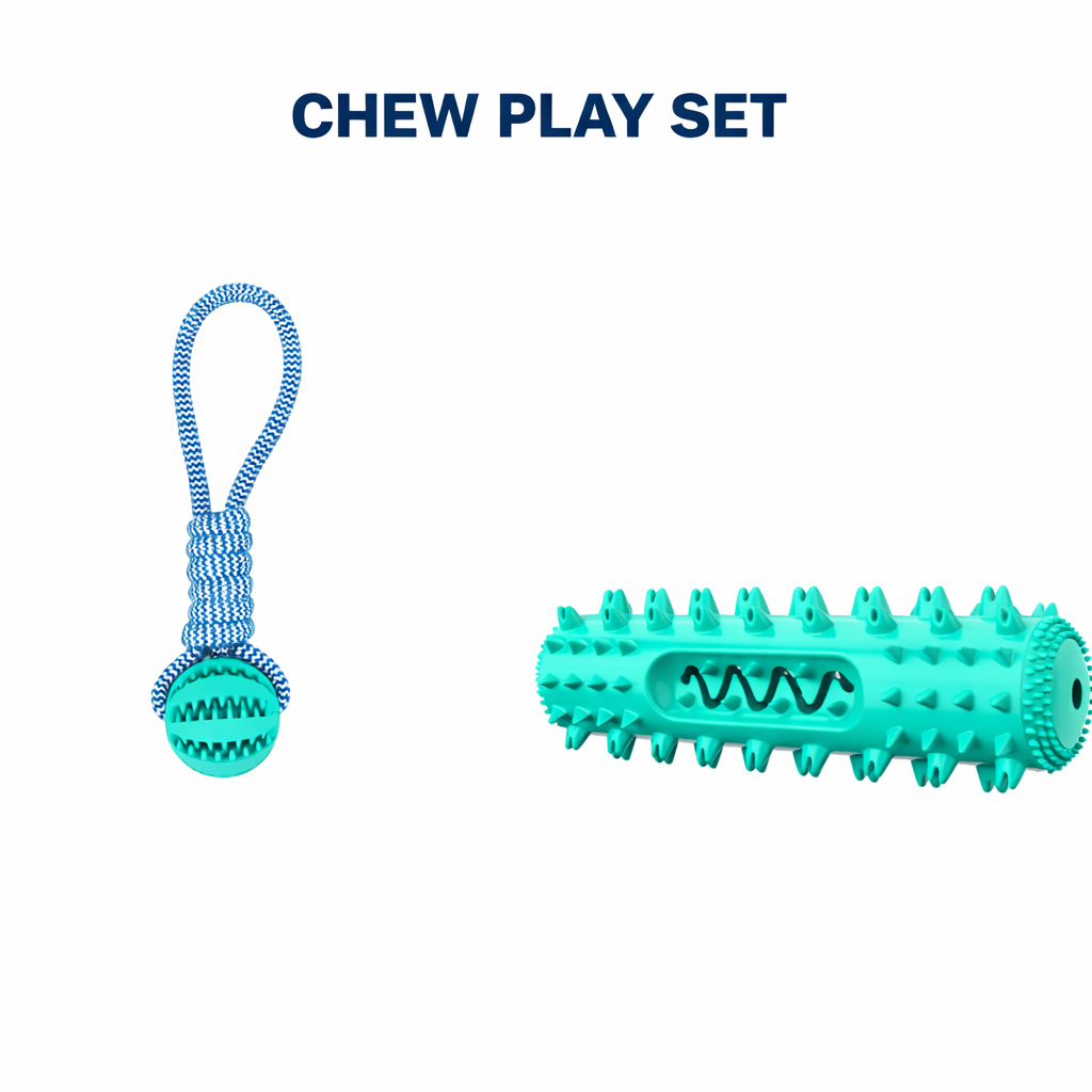 Ultimate Dog Play Bundle – 6 Toy Interactive Set for Chewing, Tugging & Fetch