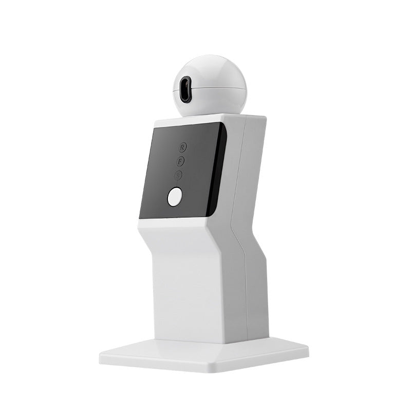 Cat Laser Interactive Robot